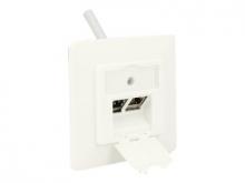 Delock Keystone Wall Outlet - Wanddose - Pure White, RAL 9010 - 2 Ports